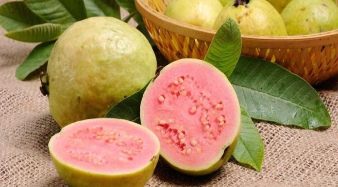 guayaba La Guayaba y sus beneficios