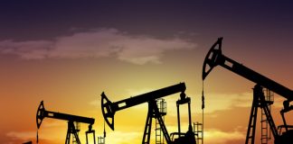 ocho campos petroleros