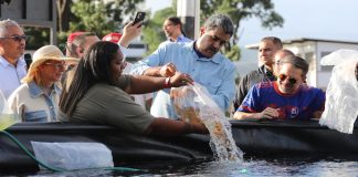 Unacom producirá 15 toneladas de pescado tilapia para los próximos seis meses
