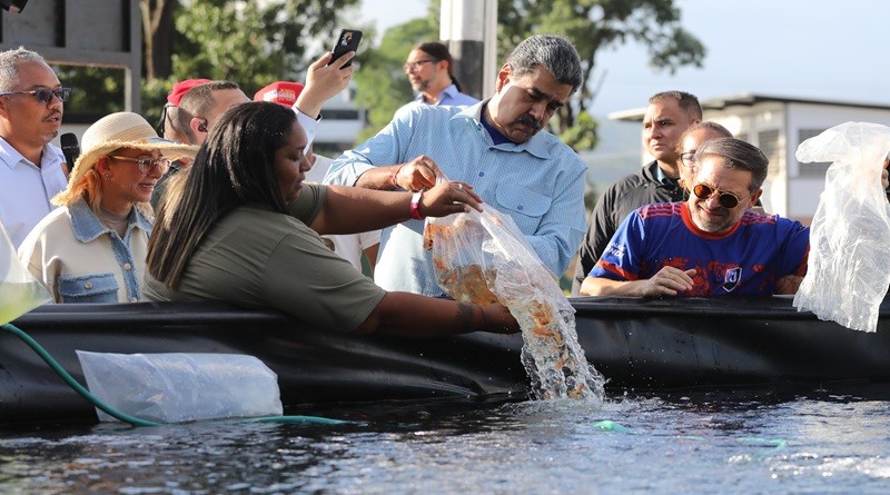 Unacom producirá 15 toneladas de pescado tilapia para los próximos seis meses Unacom producirá 15 toneladas de pescado tilapia para los próximos seis meses
