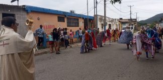 Patanemo-diablos danzantes-procesión-portada
