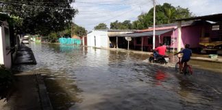 Crecida de ríos Arauca y Apure