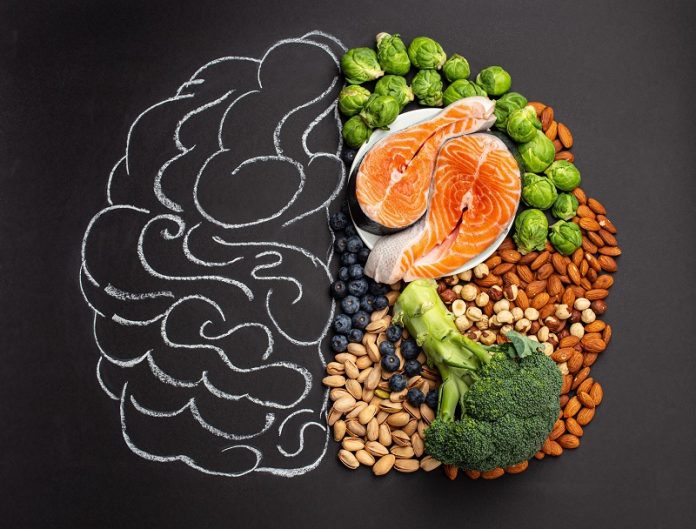 El cerebro