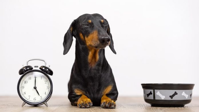 cambio de hora