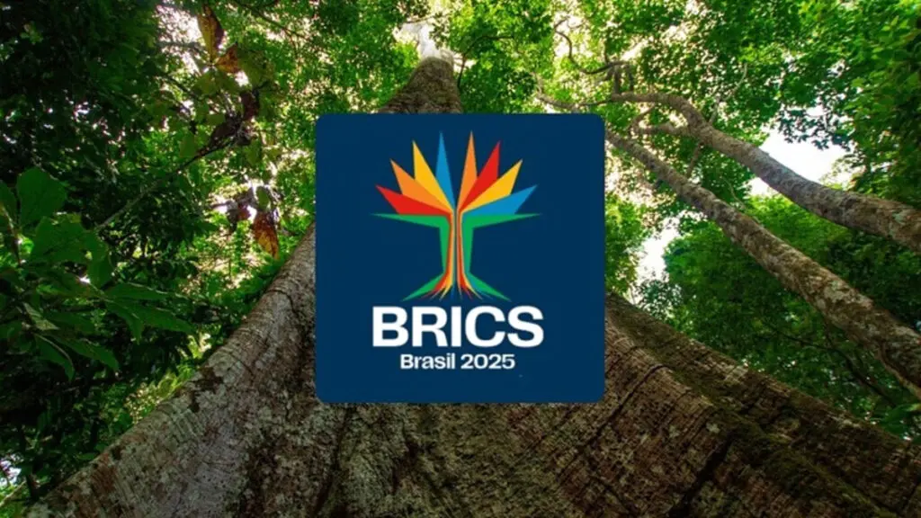 brics-2025 Foro Parlamentario de los BRICS