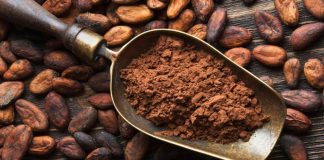 cacao venezolano