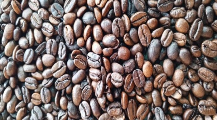 El Plan Comunal Café 2025