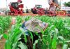 Revisan objetivos estratégicos del Motor Agroalimentario Motor Agroalimentario