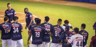 Los Marineros y Delfines