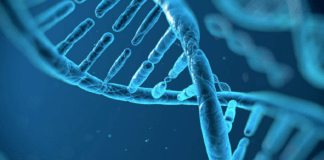 Científicos logran descifrar zonas ocultas del ADN humano