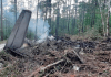 Gobierno nacional lamenta accidente aéreo ocurrido en provincia de Rusia