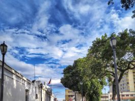 “Manifiesto para una columna mestiza” por José Luis Troconis Barazarte Ciudad de Valencia-Carabobo-Venezuela