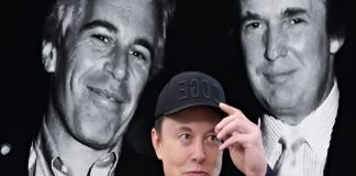 Elon Musk insta a divulgar archivos donde Trump está vinculado al caso del pedófilo Epstein