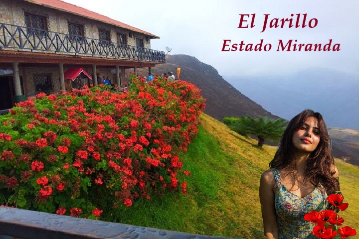 El Jarillo -VENEZUELA