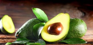productores de aguacate
