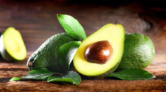 productores de aguacate