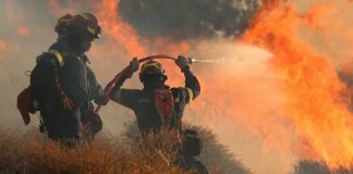 Incendios Forestales en Europa encienden las alarmas