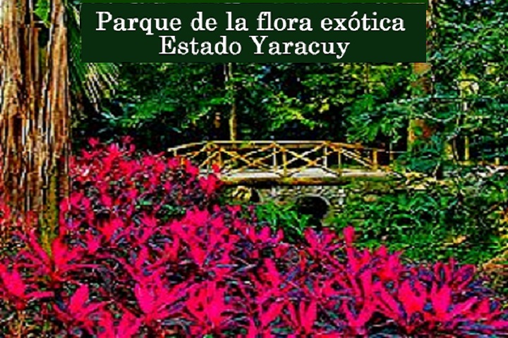 Parque de La Flora Exótica, Yaracuydf