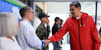Segundos proyectos más votados