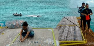 desechos plásticos en Isla de Aves