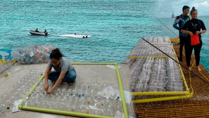 desechos plásticos en Isla de Aves