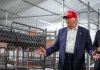 Trump-Alligator Alcatraz