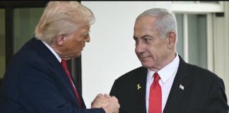 Trump confirma aceptación de Israel para un alto el fuego de 60 días en Gaza