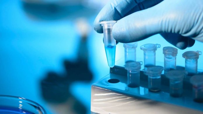 Científicos identifican proteínas que podrían mejorar respuesta a inmunoterapia Científicos identifican proteínas que podrían mejorar respuesta a inmunoterapia