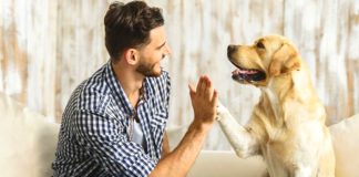 Inteligencia artificial podría ayudar a «hablar» con los animales
