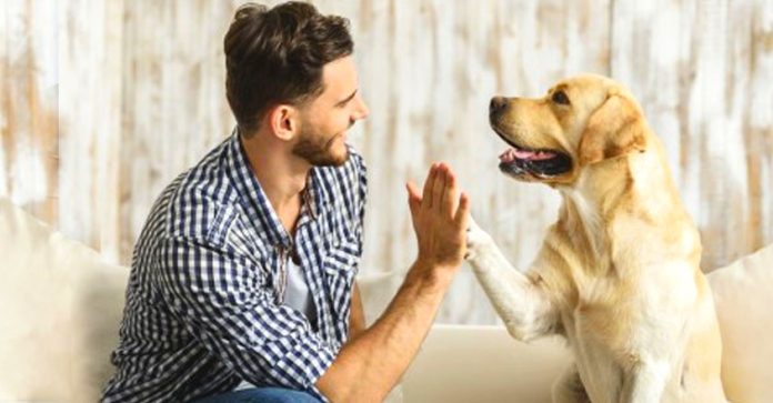 Inteligencia artificial podría ayudar a «hablar» con los animales Inteligencia artificial podría ayudar a «hablar» con los animales