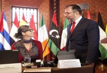 Canciller Gil extiende saludo del pueblo venezolano a relatora de la ONU Albanese