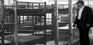 Fallece influencer venezolano Luis Frío en prisión “Alcatraz Alligator” en EE. UU.