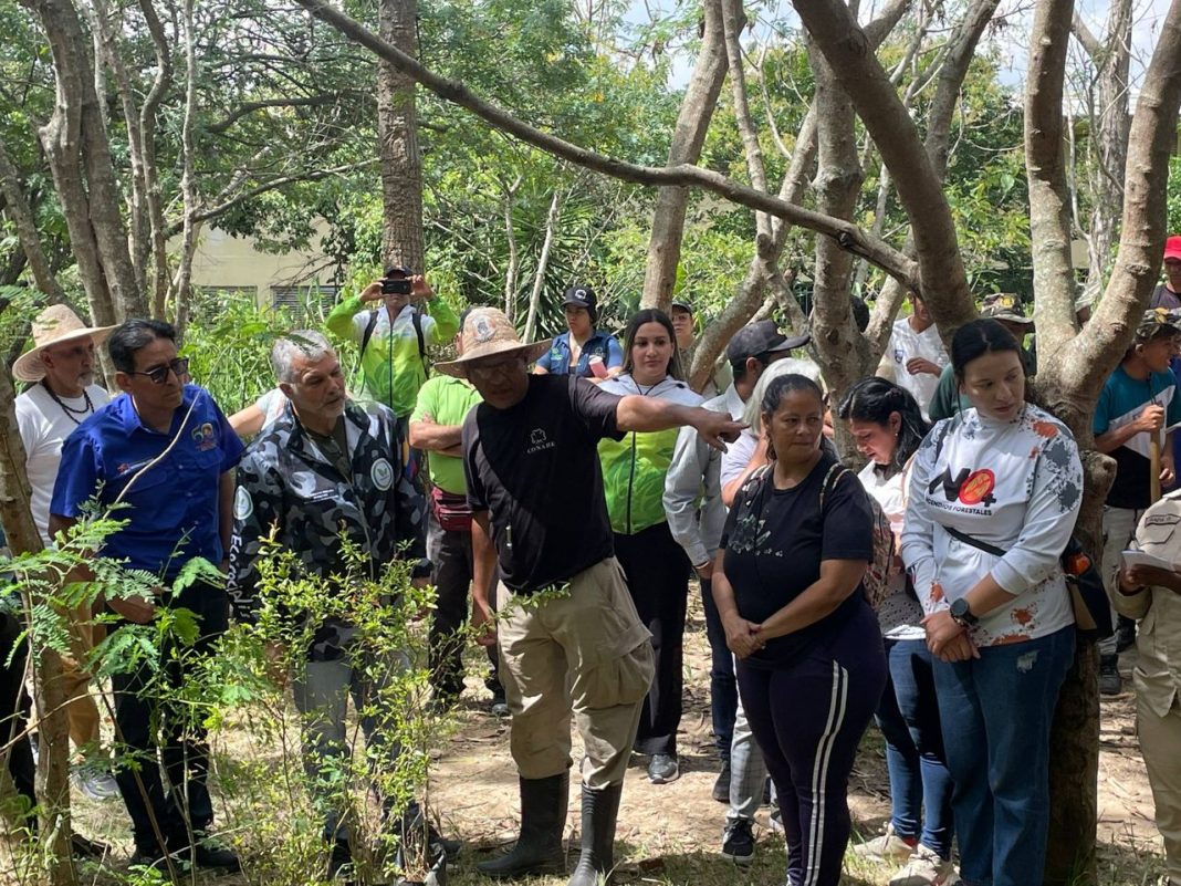 jornada masiva de reforestación jornada masiva de reforestación