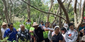 jornada masiva de reforestación
