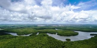 Congreso Mundial en Defensa de la Madre Tierra