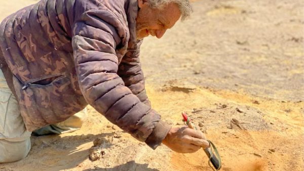 Descubren fósil en un desierto de Perú 