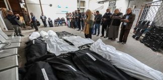 Mártires en la Franja de Gaza ascienden a 62.192 Franja de Gaza