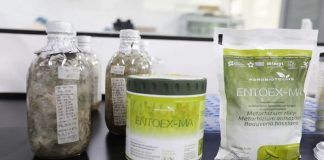 Entoex-Ma bioinsecticida contra el mal de Chagas creado en Venezuela