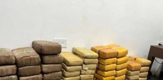 Incautación - panelas de marihuana