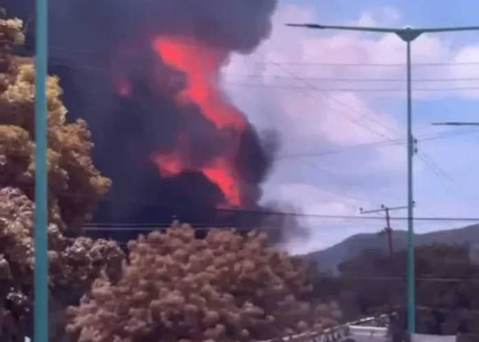 incendio de gran magnitud en Los Guayos incendio de gran magnitud en Los Guayos