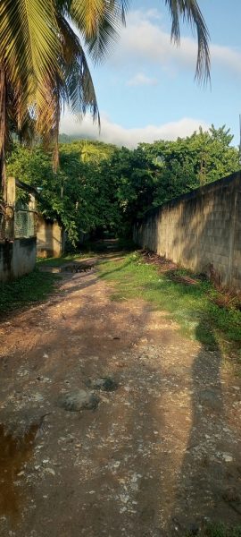 Marihsela-zarcillos-caminata 2