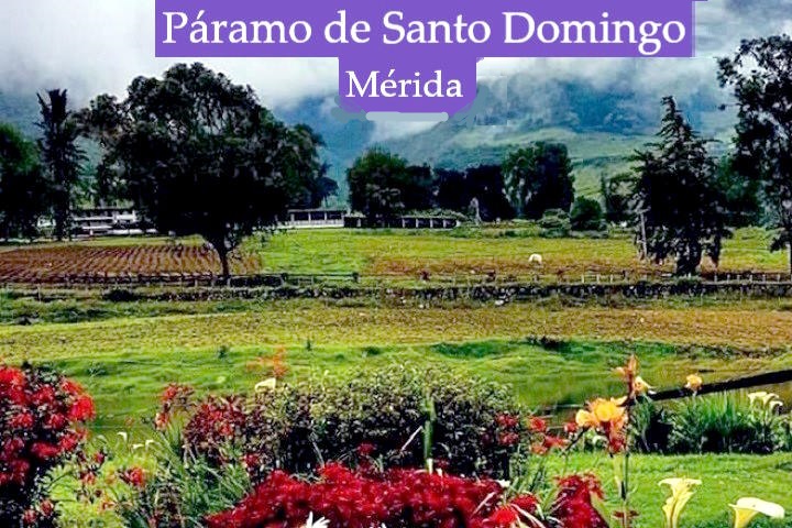 Páramo de Santo Domingo Mérida