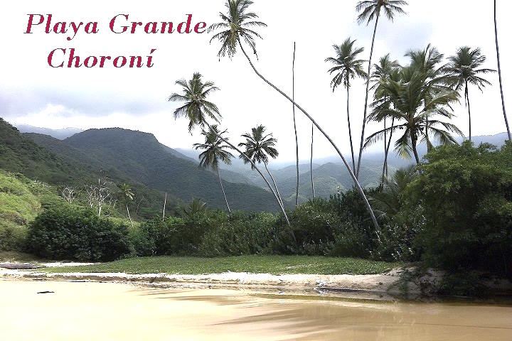 Playa Grande Choroní. Estado Aragua