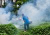 China detectó nuevos casos de chikungunya
