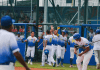 Selección venezolana de Softbol Masculino