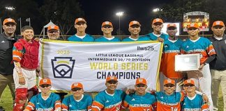 Serie Mundial de Ligas Intermedias