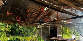 Destruyen seis astilleros