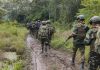 FANB incautó casi tres toneladas de drogas en el estado Amazonas combate a las drogas en el estado Amazonas