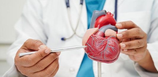 El magnesio para la salud del corazón