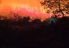 Incendios forestales en España